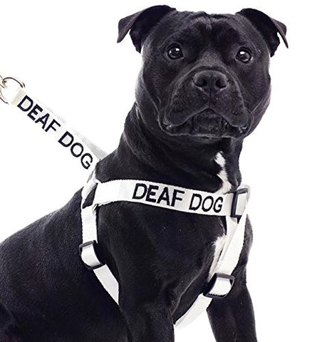 Friendly Dog Collars- Deaf Dog Strap Harness 23"-36"