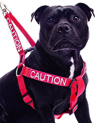 Friendly Dog Collars- Caution Strap Harness 23"-36"
