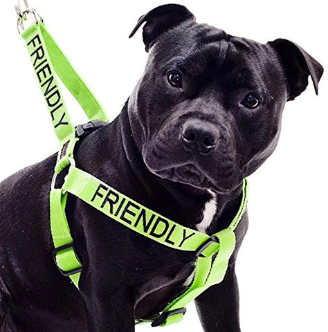 Friendly Dog Collars- Friendly Strap Harness 23"-36"