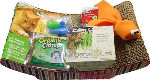 Packaged Kits, Kitten Kit, All-American