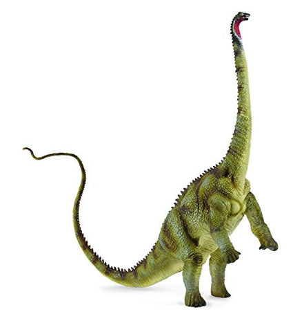 Diplodocus, XL