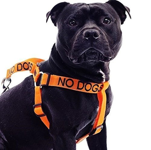 Friendly Dog Collars- No Dogs Strap Harness 23"-36"