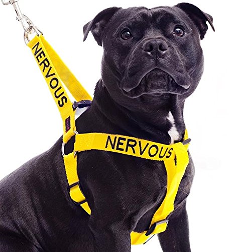 Friendly Dog Collars- Nervous Strap Harness 23"-36"