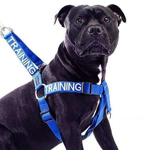 Friendly Dog Collars- Training Strap Harness 23"-36"