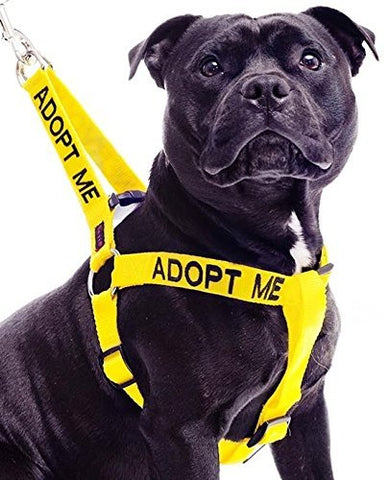Friendly Dog Collars- Adopt Me Strap Harness 23"-36"