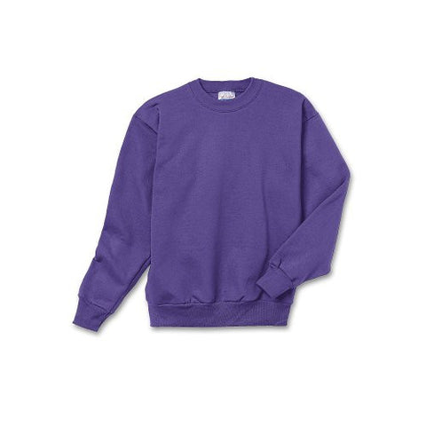 Hanes Youth ComfortBlend Long Sleeve Fleece Crew - p360 (Purple / X-Small)