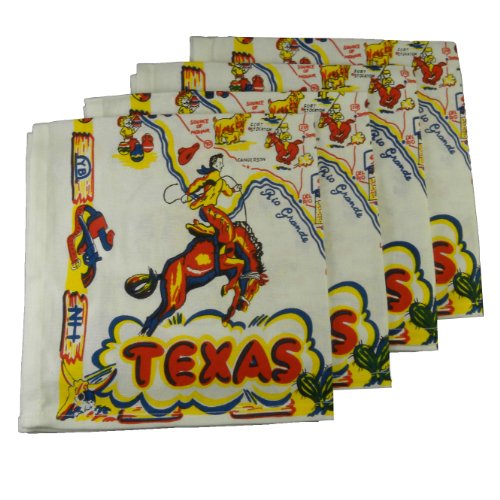 Texas Napkin Set, 18" x 18"