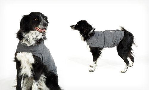 AKC Calming Coat - Grey - Small
