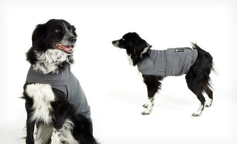 AKC Calming Coat - Grey - Large