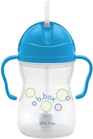 sippy cup - blueberry