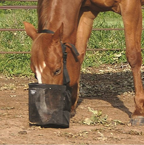 Feed Rite Bag - Pony