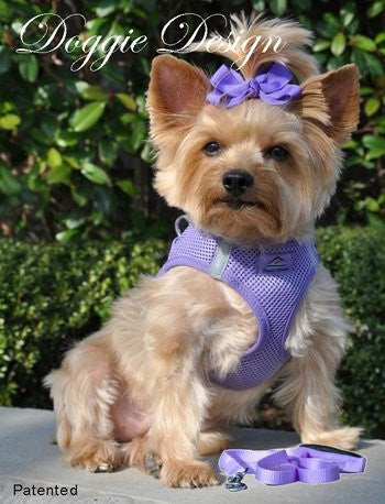 American River Ultra Choke Free Dog Harness, Paisley Purple, Medium