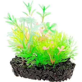 Extra Small Glow Plant - 6" H