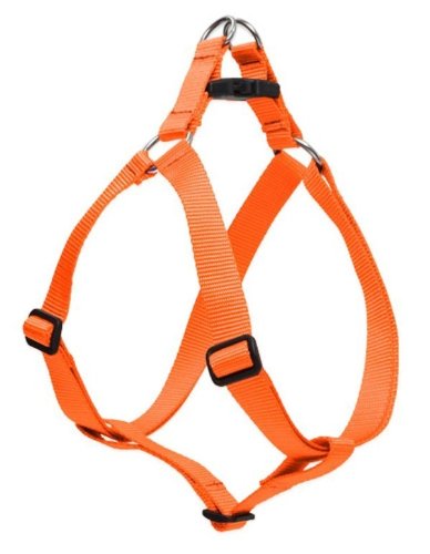 Lupine 1" Basics Collection - Blaze Orange, 19"-28" Step-In Harness