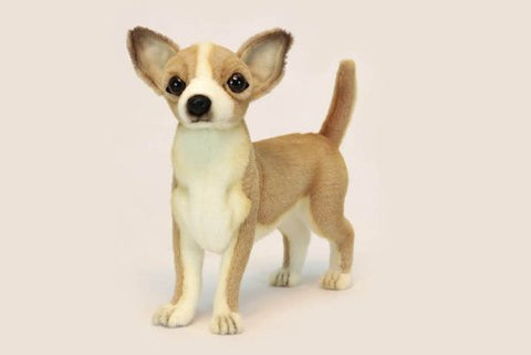 CHIHUAHUA PUPPY (BRN/WHITE) 11''L