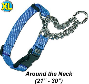 Chain Martingale - Turquoise, XLarge