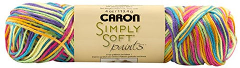 Caron Simply Soft Yarn - Paints Rainbow Bright 204 Yards 4 OZ
