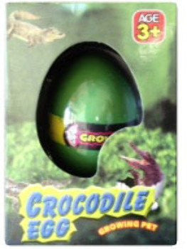 GROW A CROCODILE (12/UNIT)