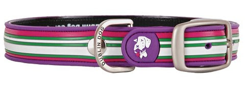 Maui Sunrise Classic Stripe Collar, Medium