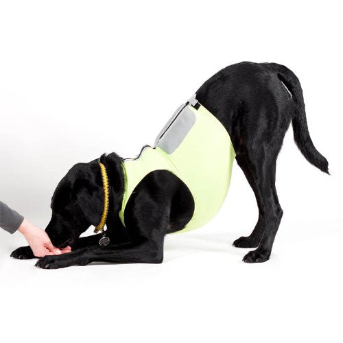K9FITvest® COOL VEST - MEDIUM/LARGE