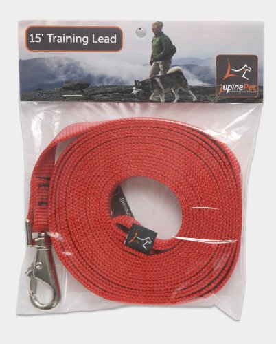 Lupine 3/4" Basics Collection - Red, 15' Training Lead