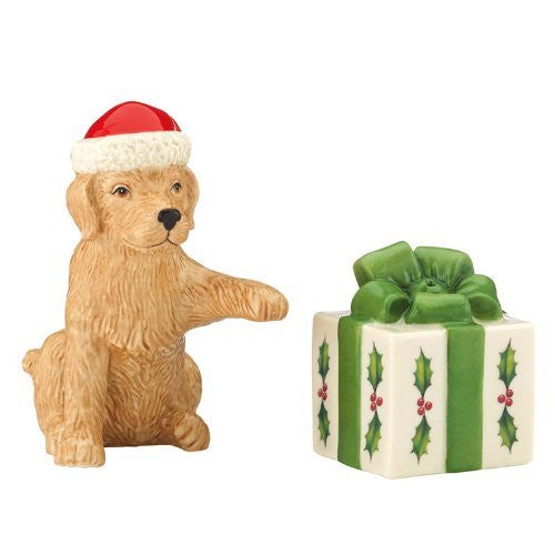 DOG & PRESENT SALT & PEPPER