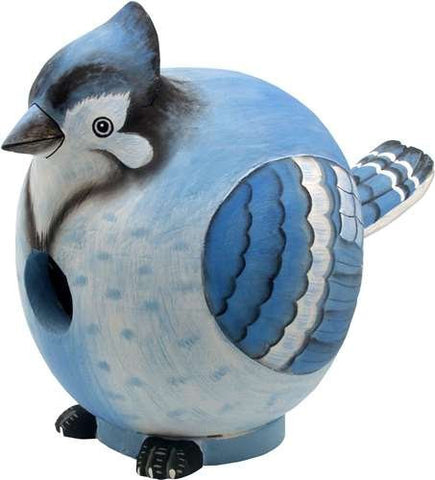 Birdhouse  Gord-O Blue Jay