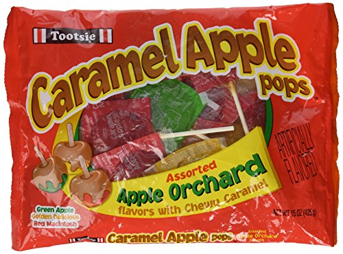 Tootsie Roll Assorted Apple Orchard Lollipops  24 Count 15 oz