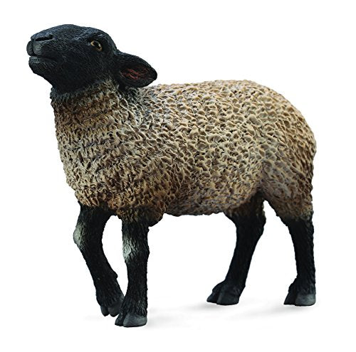 Farm Animals - Suffolk