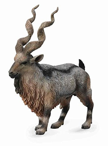 Markhor, L