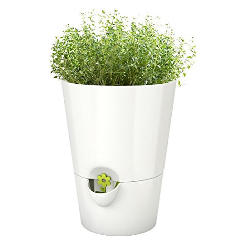 Smart Planter, white, 6.5" H