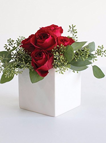 Ceramic Urban Square Vase in White 4.75" Tall x 4.75" Wide