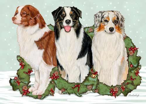 Australian Shepherd Christmas Card 10 pcs.