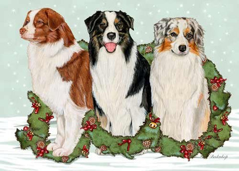 Australian Shepherd Christmas Card 10 pcs.