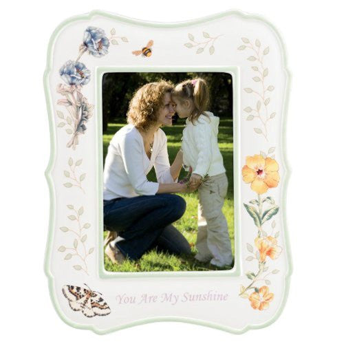 BUTTERFLY MDW ED CEL SUNSHIN 4X6