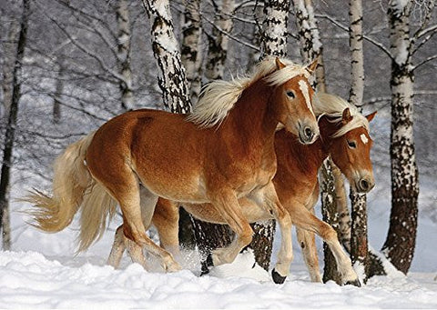 Magic of the Horses Haflingers 239-piece