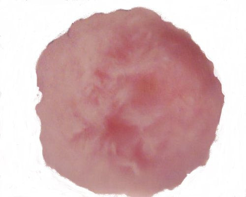 Jumbo 4" Bunny Tail (Pink)