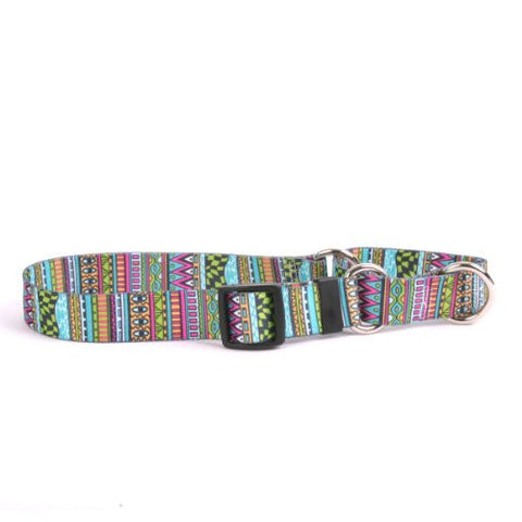 Festival Stripe - Martingale Collar, X-Small