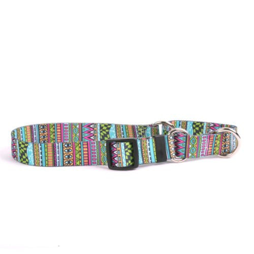 Festival Stripe - Martingale Collar, Small