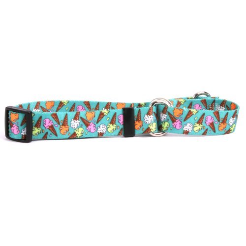 Ice Cream & Hot Dogs Collection - Martingale Collar, Medium, Ice Cream