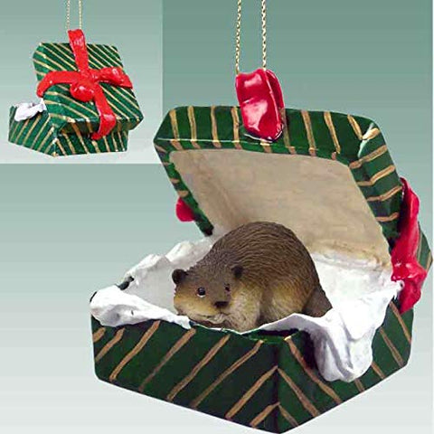 Beaver Gift Box Green Ornament