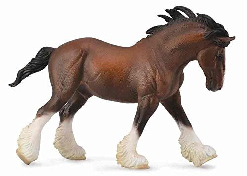 Clydesdale Stallion Bay, XL