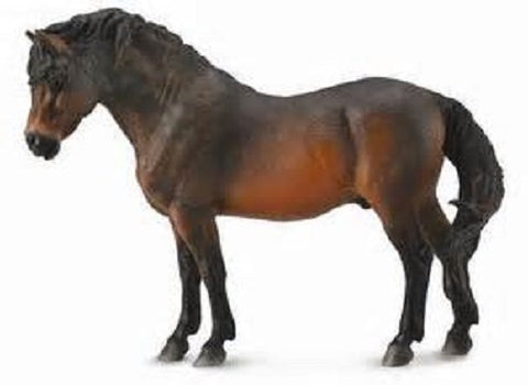 Horses - Bay Dartmoor Pony