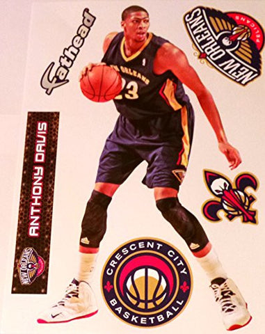NBA Anthony Davis 2013-2014 Teammate Player