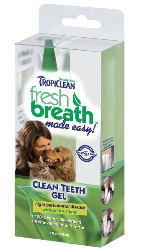 Fresh Breath Oral Care Clean Teeth Gel 4oz