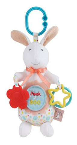 Pat the Bunny Developmental