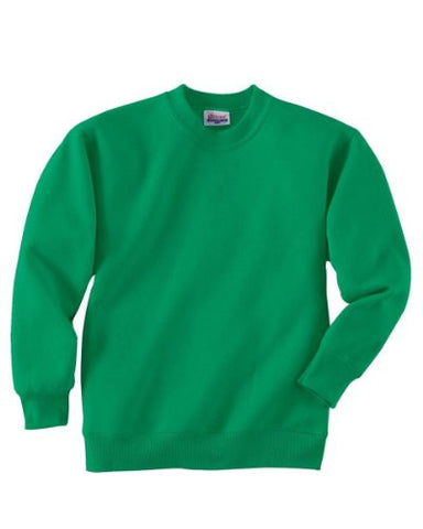 Hanes Youth ComfortBlend Long Sleeve Fleece Crew - p360 (Kelly Green / X-Small)