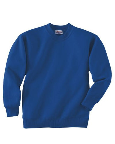 Hanes Youth ComfortBlend Long Sleeve Fleece Crew - p360 (Deep Royal / X-Small)