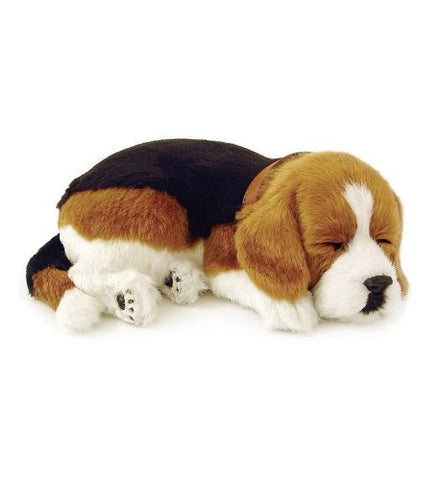 Perfect Petzzz Beagle Puppy