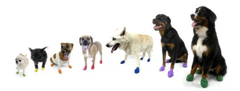 Pawz Boots 12-pack - Black, X Large up to 5"